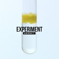 Experiment - Agency