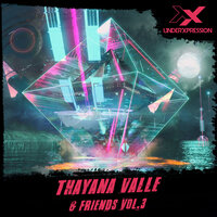Shake It - Gustavo FRK & Thayana Valle
