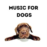 Puppy Lullaby - Music for Dogs & Music for Dogs Peace & Relaxing Puppy Music & Calm Pets Music Academy