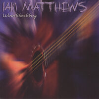 Tail Spin - Iain Matthews