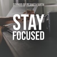 Relaxing Pouring Rain with Warm Bonfire Sound - Sounds of Planet Earth