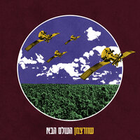 לוויין - Shwartzman