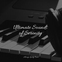 Drifting Blissfully - Calming Piano & Chilout Piano Lounge & Study Piano