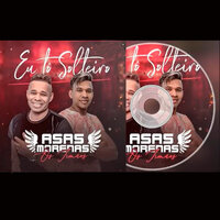 Marque Seu Amigo - Asas Morenas