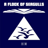 Him - A Flock Of Seagulls