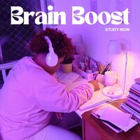 Placid Pondering Playlist - Study Now