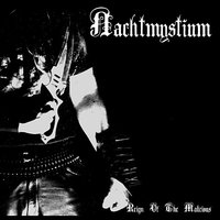Lost Wisdom - Nachtmystium