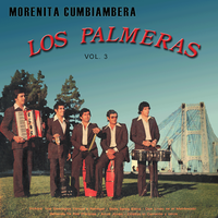 Solo te Esperaba - Los Palmeras
