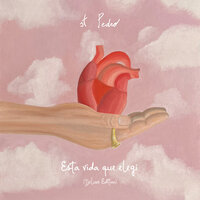 Dos Extraños (Cuarteto de Cuerda) - st. Pedro