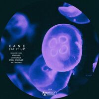 Eat It Up - Kane (UK) & Brad Lee
