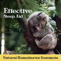 Night Light - Deep Sleep Hypnosis Masters & Insomnia Music Universe