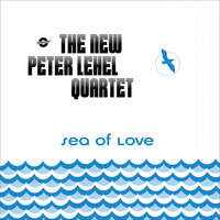 Transylvania Transit - The New Peter Lehel Quartet & Peter Lehel