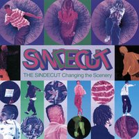 Braincell - The Sindecut