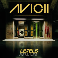 Levels - Avicii & Skrillex