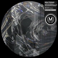 Metamorfosi - Lino