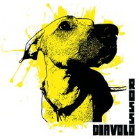 How, When and Where - Diavolo Rosso