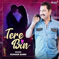 Tere Bin - Kumar Sanu