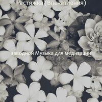 Впечатление (Дыхание) - заводной Музыка для медитации