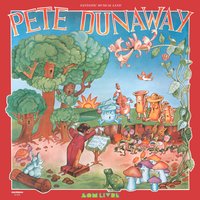 I Gotta Write a Song - Pete Dunaway