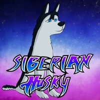 Siberian Husky - SB