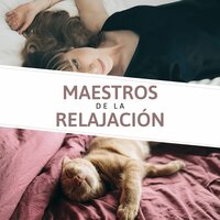 Bienestar Mental - Relajacion Ariel