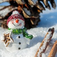 Perfect Storm - Christmas Piano Music All Star, Christian Christmas Songs Orchestra, Childrens Christmas Favourites & Childrens Christmas Favourites & Christmas Piano Music All Star & Christian Christmas Songs Orchestra