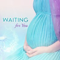 Feeling Stillness - Nature Music Pregnancy Academy