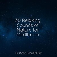 Oceanic Ballads - The Sleep Specialist & Musica Relaxante & Tibetan Singing Bowls for Relaxation