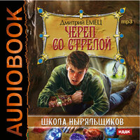 Емец Дмитрий Александрович. «ШНыр. Книга 6. Череп со стрелой». Часть 12 - Аркадий Бухмин