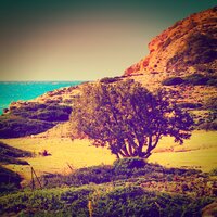 Moon Phase (Ocean Waves, Water, Calm Waves) - Meditation Followers