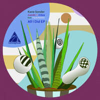 All I Did - Juando & Kane Sonder
