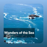 Translucent - Streaming Waves