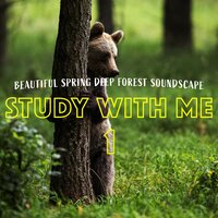 Beautiful Spring Deep Forest Soundscape, Pt. 5 - Bryan Maxwell