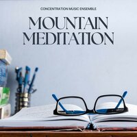 Relaxing Work Music - Concentration Music Ensemble