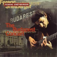 Spingtime In Winter - Ferenc Snétberger