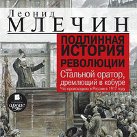 Леонид Млечин. «ПОДЛИННАЯ ИСТОРИЯ РЕВОЛЮЦИИ или Стальной оратор, дремлющий в кобуре. Что происходило в России в 1917 году.». Часть 39 - Виктор Рудниченко