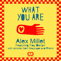 What You Are - Alex Millet & Troy Denari