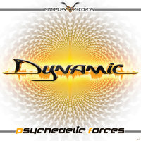 Human Intelligence - Dynamic