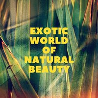 Mystic Echoes - Zen Soothing Sounds of Nature