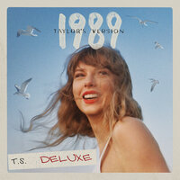 How You Get The Girl - Taylor Swift