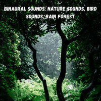 Ambient Sounds - Binaural Landscapes & Solfeggio Healing Frequencies MT & Music for Sleep