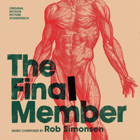 Iceland and the Museum - Rob Simonsen