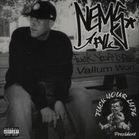 C.I. - Nems