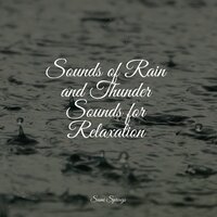 Beachside Rain - Sleepy Night Music & Life Sounds Nature & Musica Relaxante