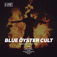 Don't Fear The Reaper - Blue Öyster Cult