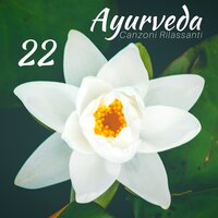Massaggio Spa - Ayurveda