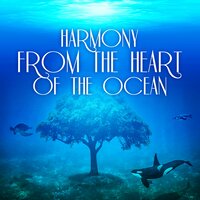 Peaceful Music to Sleep (Serene Ocean) - Healing Ocean Waves Zone