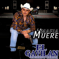 Poncho Beltran - Ricardo Cerda El Gavilan
