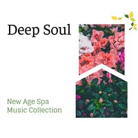 Spa In Tropical Greens - Spa Music Relaxation & Gold Spa Melodies