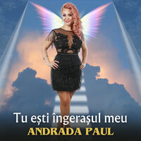 Tu Esti Ingerasul Meu - Andrada Paul